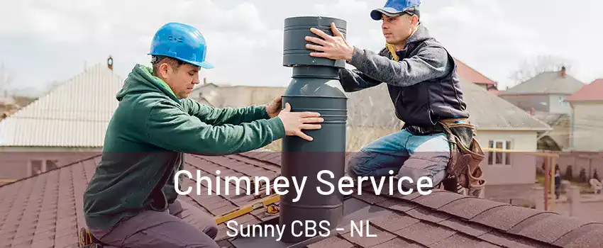  Chimney Service Sunny CBS - NL
