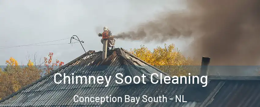  Chimney Soot Cleaning Conception Bay South - NL