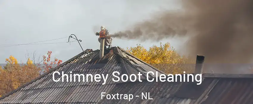  Chimney Soot Cleaning Foxtrap - NL