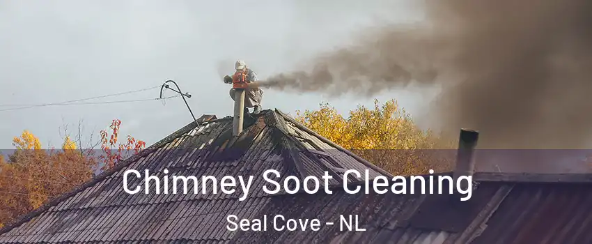  Chimney Soot Cleaning Seal Cove - NL