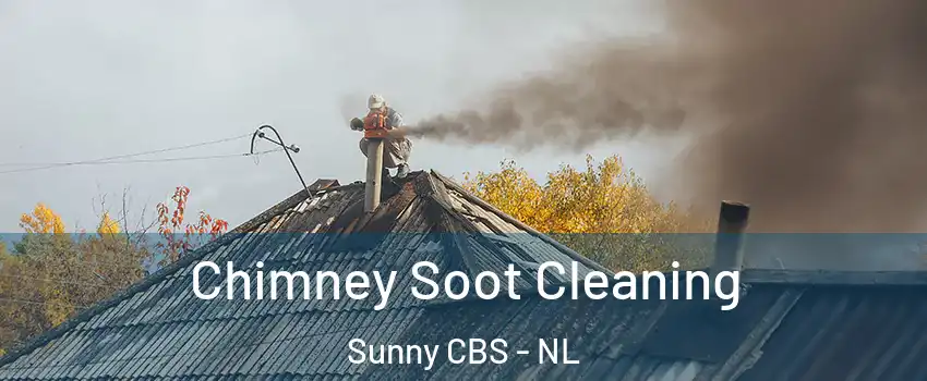  Chimney Soot Cleaning Sunny CBS - NL