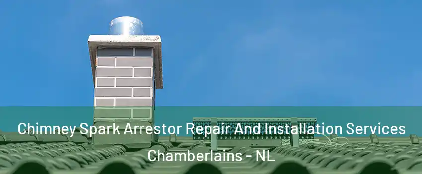  Chimney Spark Arrestor Repair And Installation Services Chamberlains - NL