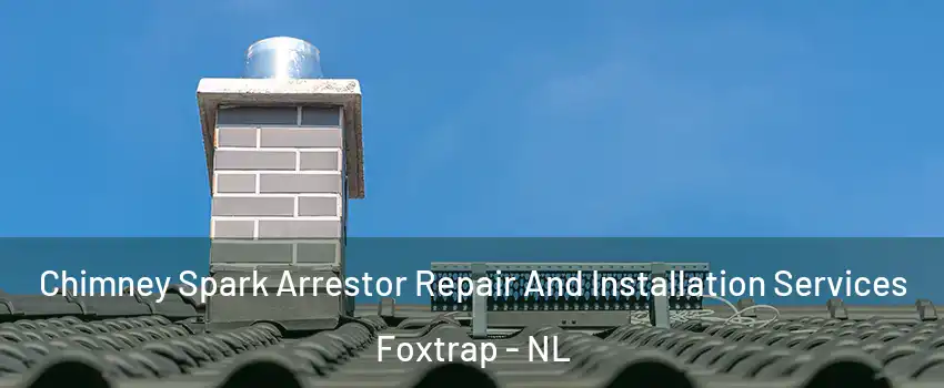  Chimney Spark Arrestor Repair And Installation Services Foxtrap - NL