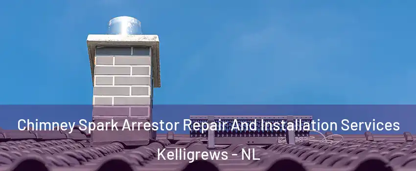  Chimney Spark Arrestor Repair And Installation Services Kelligrews - NL