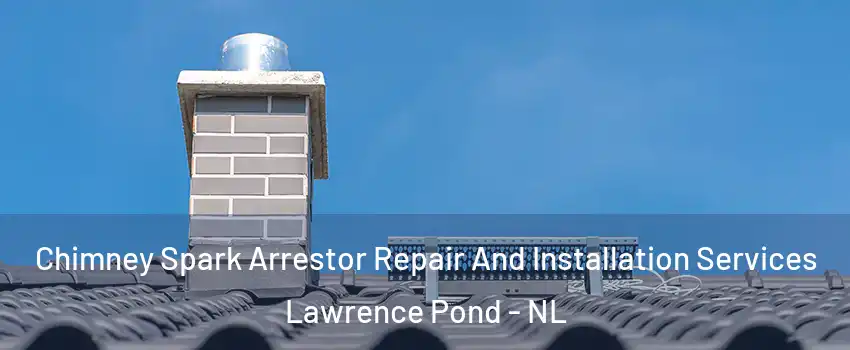  Chimney Spark Arrestor Repair And Installation Services Lawrence Pond - NL