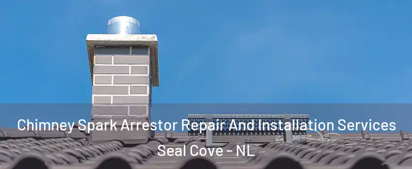  Chimney Spark Arrestor Repair And Installation Services Seal Cove - NL