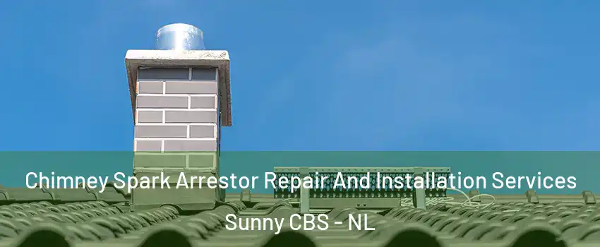  Chimney Spark Arrestor Repair And Installation Services Sunny CBS - NL
