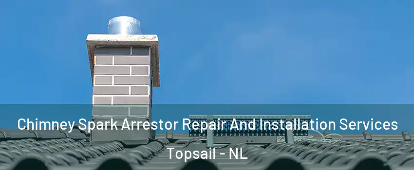  Chimney Spark Arrestor Repair And Installation Services Topsail - NL