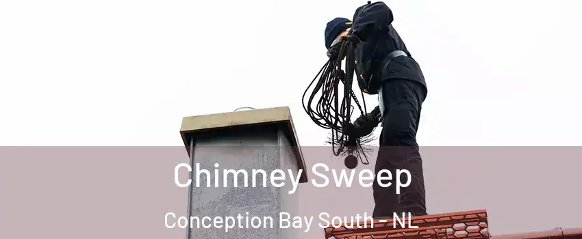  Chimney Sweep Conception Bay South - NL