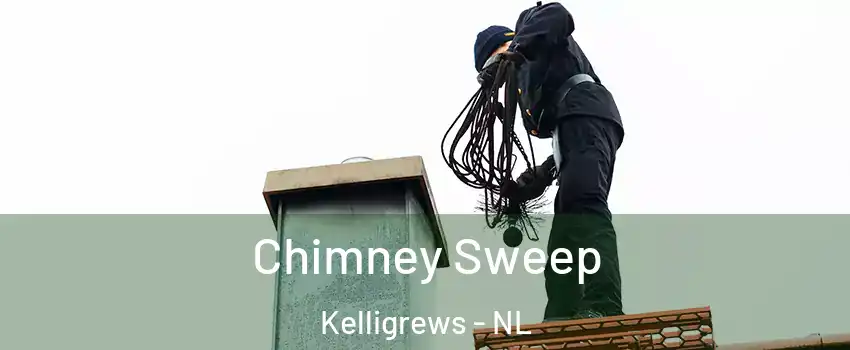  Chimney Sweep Kelligrews - NL