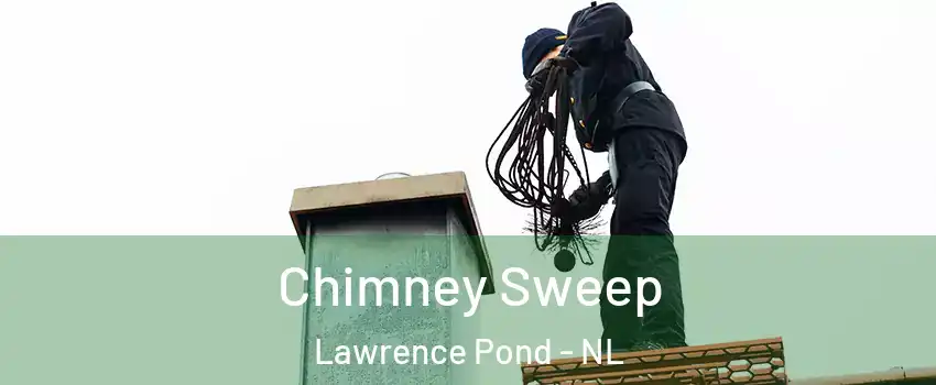  Chimney Sweep Lawrence Pond - NL