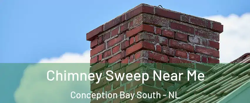  Chimney Sweep Near Me Conception Bay South - NL
