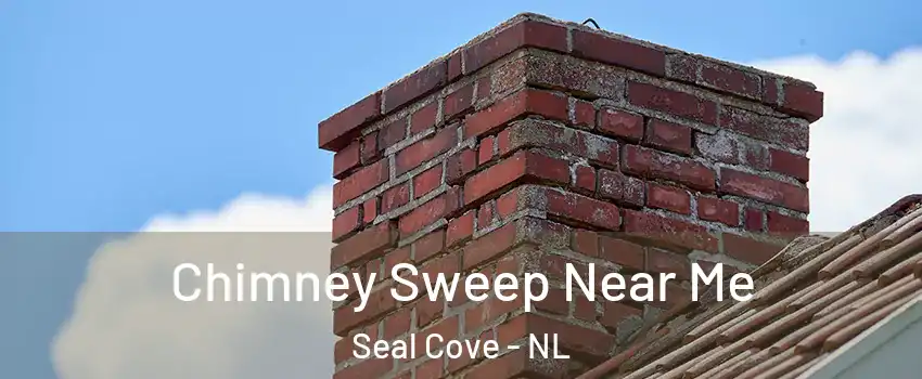 Chimney Sweep Near Me Seal Cove - NL