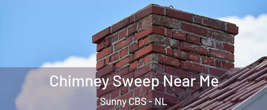  Chimney Sweep Near Me Sunny CBS - NL
