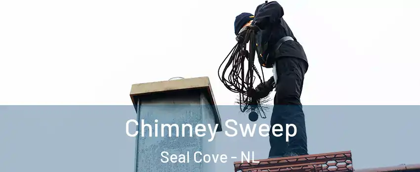  Chimney Sweep Seal Cove - NL