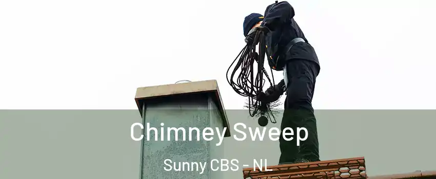  Chimney Sweep Sunny CBS - NL