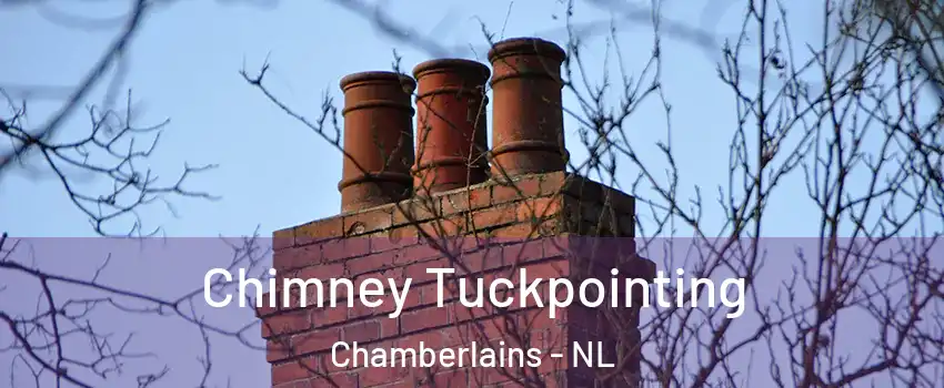  Chimney Tuckpointing Chamberlains - NL