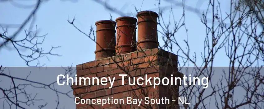  Chimney Tuckpointing Conception Bay South - NL