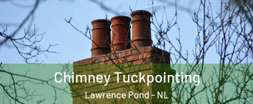  Chimney Tuckpointing Lawrence Pond - NL