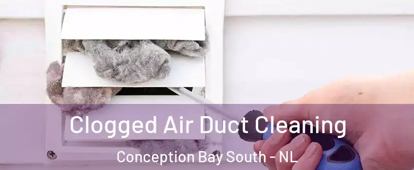  Clogged Air Duct Cleaning Conception Bay South - NL