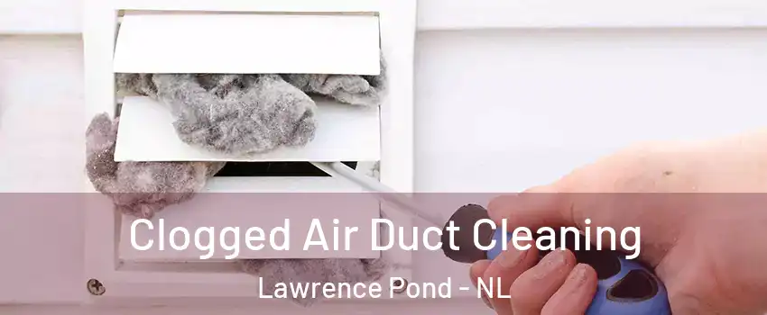  Clogged Air Duct Cleaning Lawrence Pond - NL
