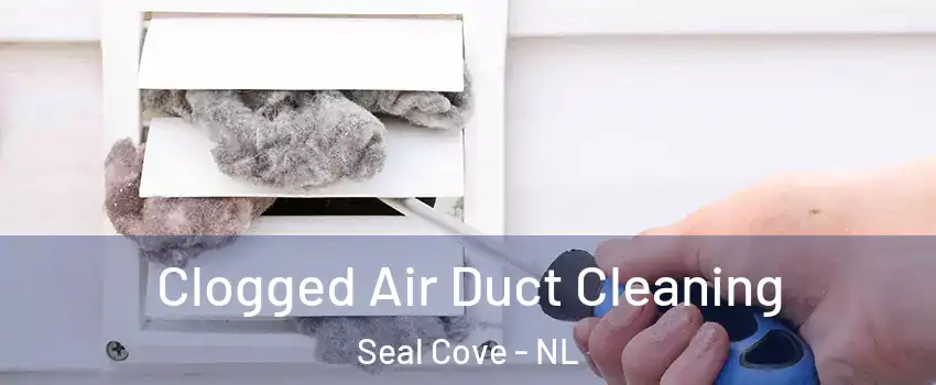  Clogged Air Duct Cleaning Seal Cove - NL