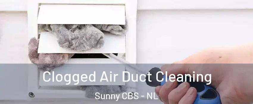  Clogged Air Duct Cleaning Sunny CBS - NL