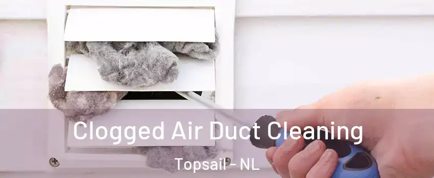  Clogged Air Duct Cleaning Topsail - NL