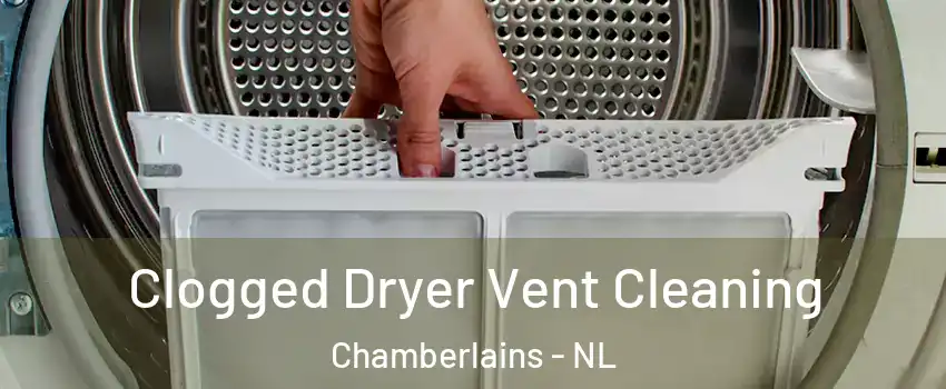  Clogged Dryer Vent Cleaning Chamberlains - NL