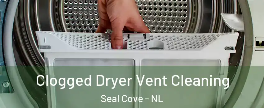  Clogged Dryer Vent Cleaning Seal Cove - NL