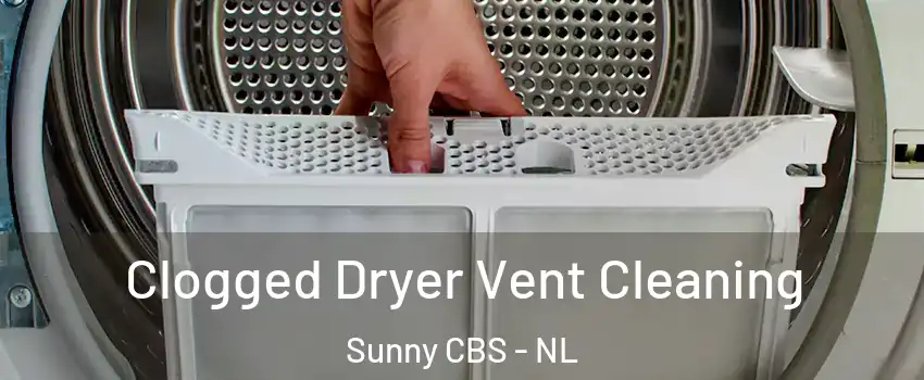  Clogged Dryer Vent Cleaning Sunny CBS - NL