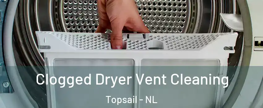  Clogged Dryer Vent Cleaning Topsail - NL