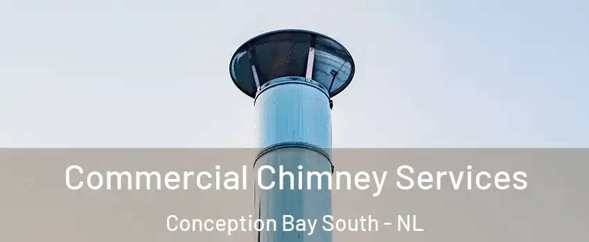  Commercial Chimney Services Conception Bay South - NL