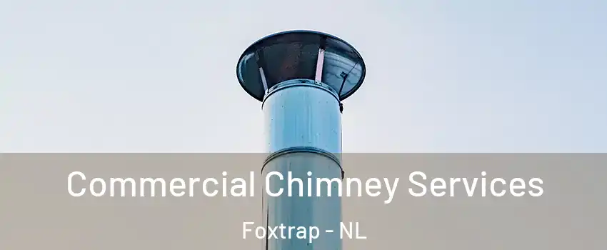  Commercial Chimney Services Foxtrap - NL