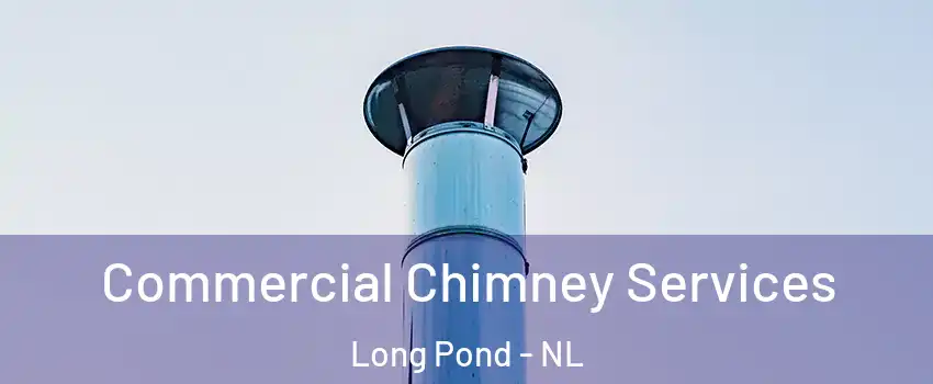  Commercial Chimney Services Long Pond - NL