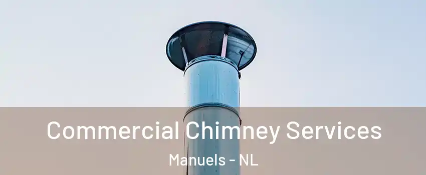  Commercial Chimney Services Manuels - NL