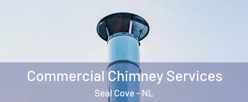  Commercial Chimney Services Seal Cove - NL