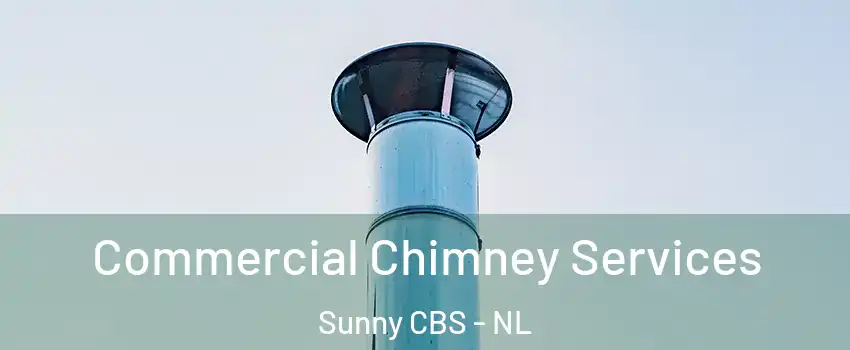  Commercial Chimney Services Sunny CBS - NL