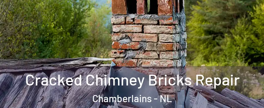  Cracked Chimney Bricks Repair Chamberlains - NL