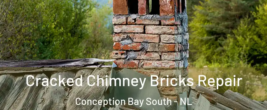  Cracked Chimney Bricks Repair Conception Bay South - NL