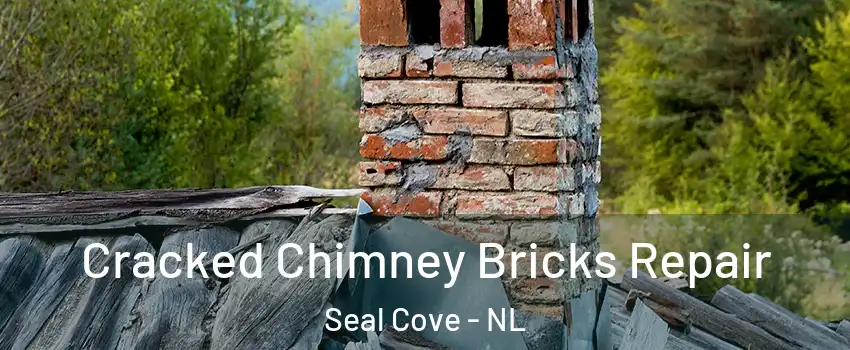  Cracked Chimney Bricks Repair Seal Cove - NL