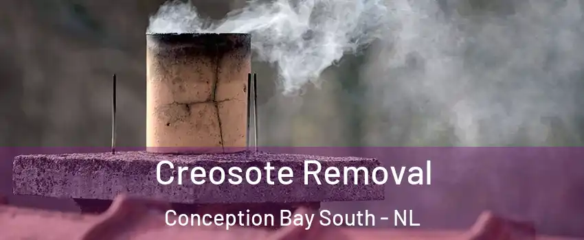  Creosote Removal Conception Bay South - NL
