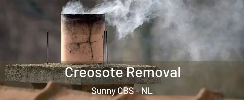 Creosote Removal Sunny CBS - NL