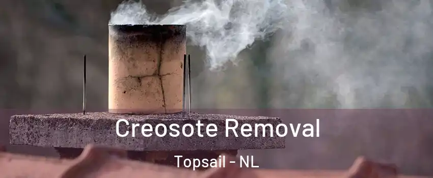  Creosote Removal Topsail - NL