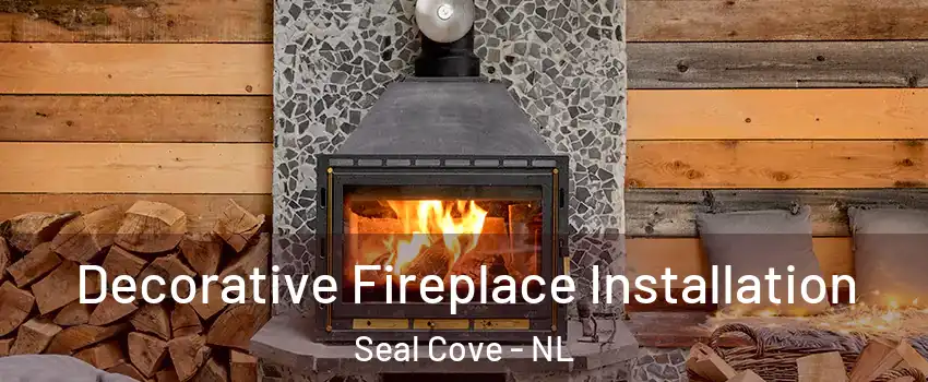  Decorative Fireplace Installation Seal Cove - NL