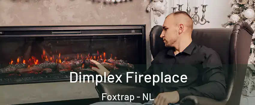  Dimplex Fireplace Foxtrap - NL