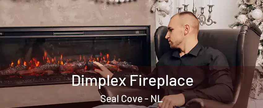  Dimplex Fireplace Seal Cove - NL