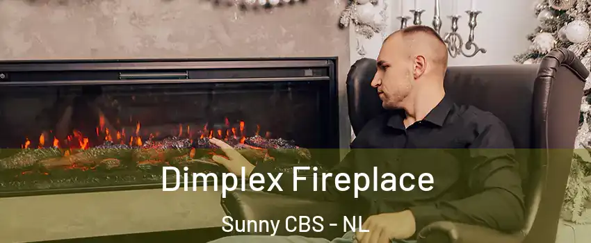  Dimplex Fireplace Sunny CBS - NL