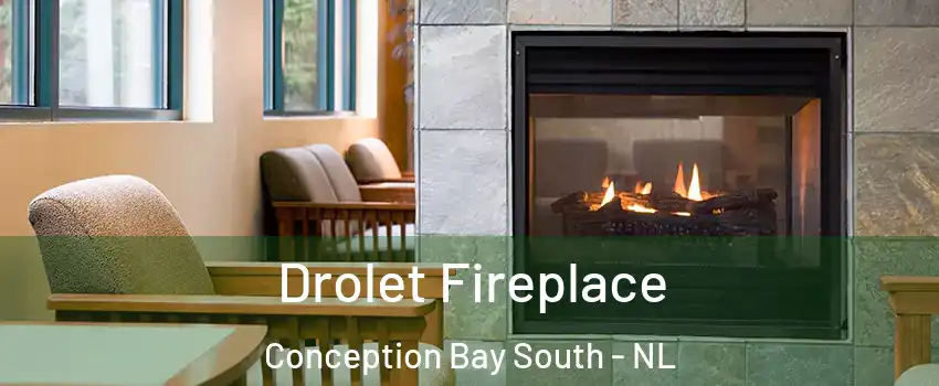  Drolet Fireplace Conception Bay South - NL