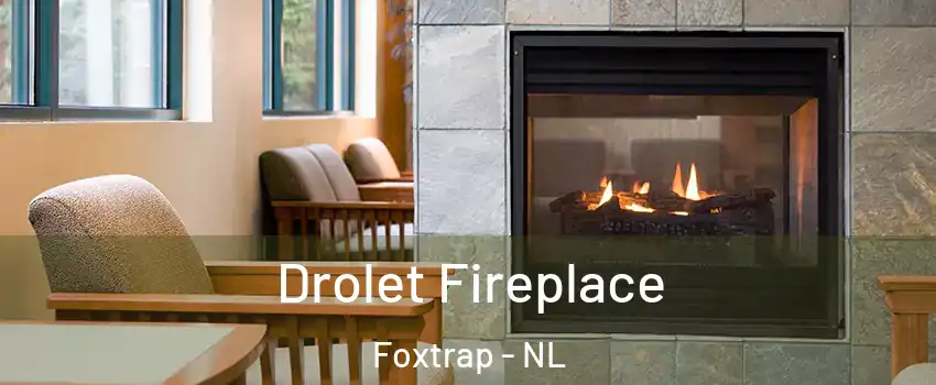  Drolet Fireplace Foxtrap - NL